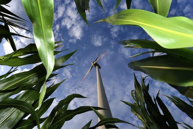 In Bad Krozingen und Hartheim gibt es Untersttzung und Gegenwind fr Windkraft