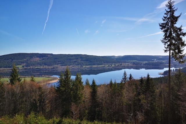 Der klimabedingte Umbau der Wlder im Schwarzwald dauert mehrere hundert Jahre