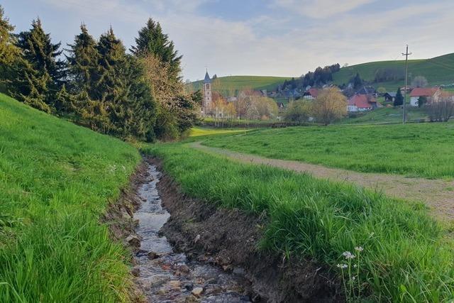 Schopfheim muss Waldflchen kaufen, damit Ausgleichszahlung fr Windpark fliet