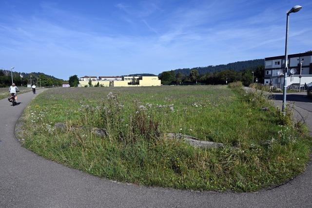 Die Verlngerung der Freiburger Stadtbahn in Richtung Kappel versptet sich noch mehr