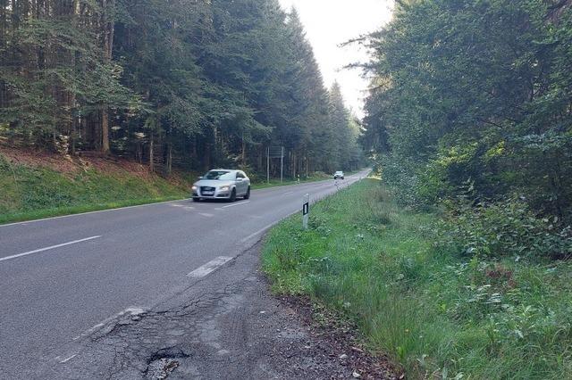 Zehn-Millionen-Euro-Radweg von Bonndorf nach Schluchsee liegt noch auf Eis