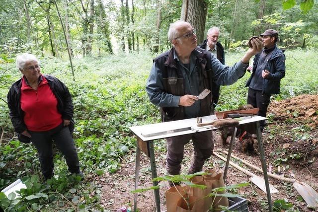 Wie der Wald von unten vermessen wird