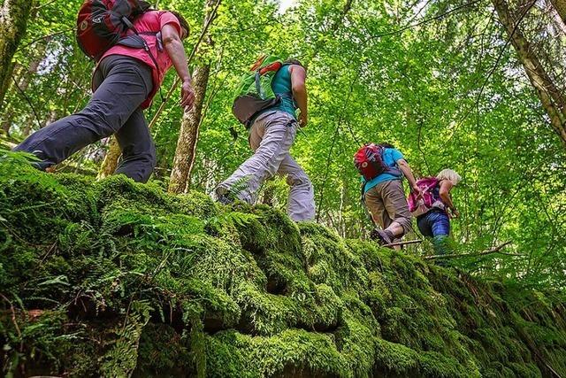 Wie lief die Tourismus-Saison im Schwarzwald?