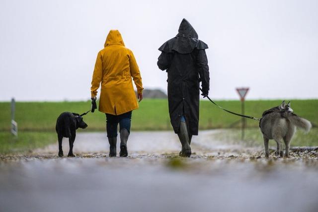 Hundehalter in Kandern mssen knftig deutlich mehr bezahlen