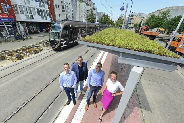 Die Folgen des Klimawandels werden auch in Freiburg richtig teuer