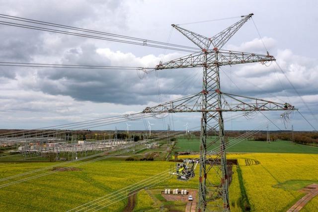 Bund kann Stromnetzkauf nicht stemmen