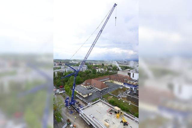 Fr 31 Millionen Euro baut die Uniklinik ein Interims-Bettenhaus