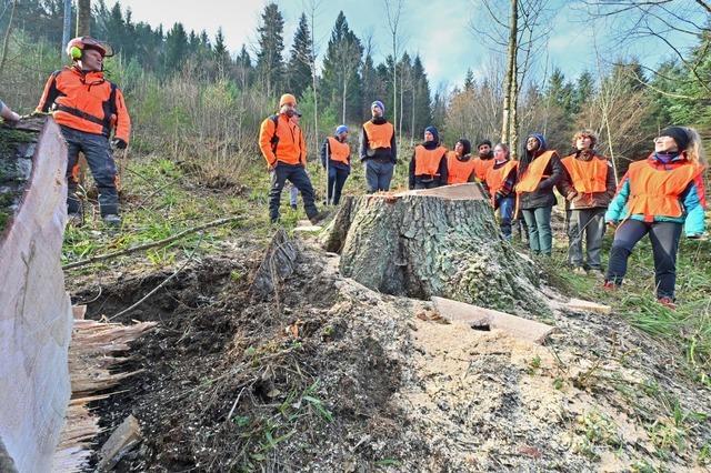 Das Projekt Naturwald-Schule macht aus Freiburgs Wald einen Bildungsort zum Anpacken