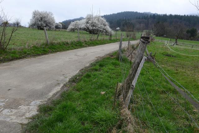 Freiburger Stadtrte fordern Nachbesserungen fr das Baugebiet 