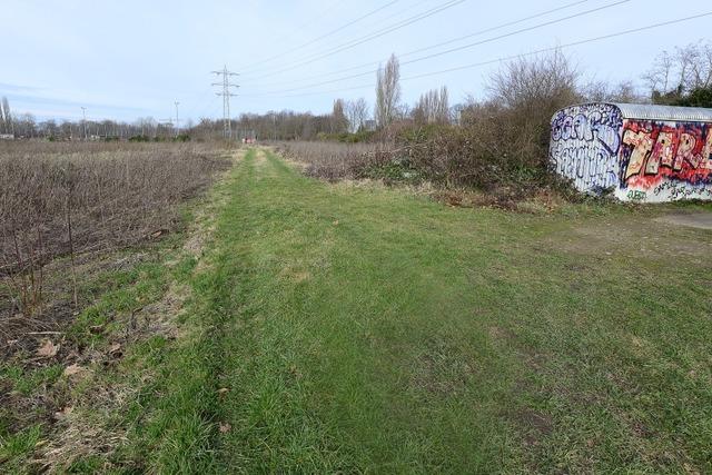 Die Kulturstraenbahn kommt in den Freiburger Dietenbachpark