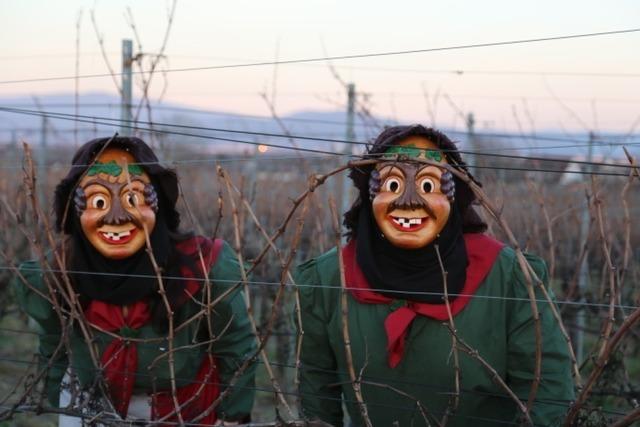 Die Freiburger Fasnet hat eine neue Zunft: Die Rebstorze Schlurbi sind fr die ganze Familie