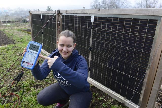 Freiburger Schlerin erforscht, wie man auch morgens und abends Solarstrom erzeugt