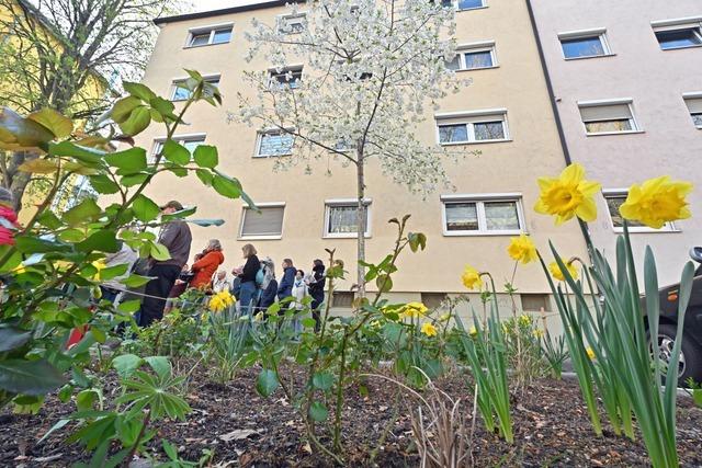 Freiburg braucht mehr Pocketgrten