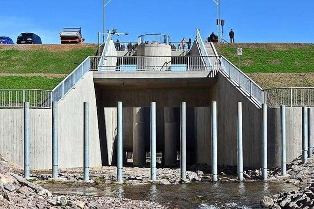 Union fordert Lockerungen beim Naturschutz