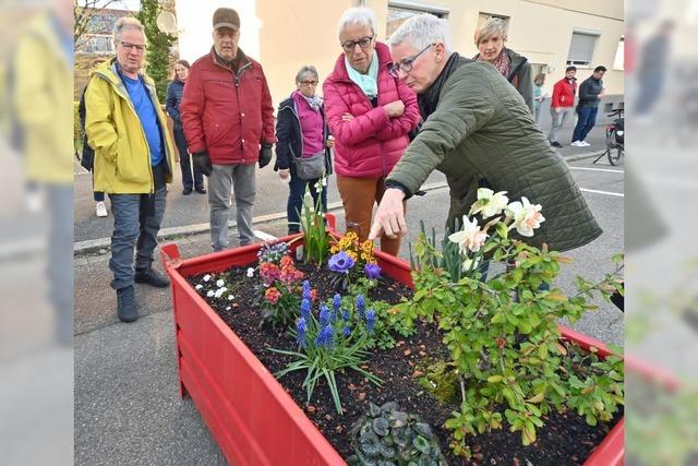 In Freiburg sind in einer Strae Flchen fr Pocketgrten entsiegelt worden