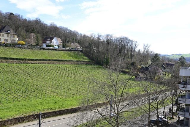 Eine Baugesellschaft will am Schlierberg in Freiburg bauen - die Stadt lehnt das ab