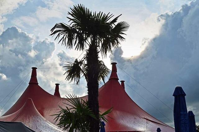 Freiburgs Zelt-Musik-Festival-Macher sorgen sich wegen neuem Stadtteil Dietenbach