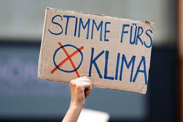 Emmendingen: Mehrere Klimabeirte streiten mit der Stadtverwaltung um ihre Rolle - einer wird deutlich