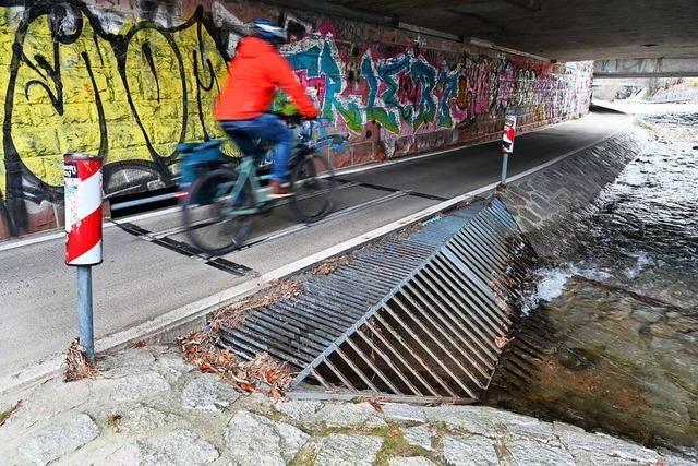 Fischsterben im Freiburger Kronenmhlebach: Polizei vermeldet Ermittlungserfolg