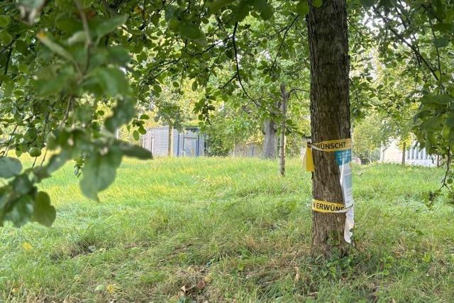 Mit dem gelben Band schafft die Stadt Lrrach klare Verhltnisse