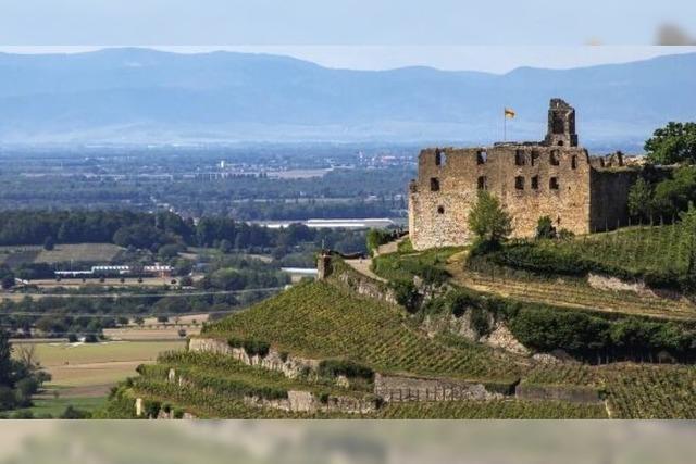 Am Oberrhein gibt es weniger Widersprche gegen Windkraft- und Solaranlagen als anderswo