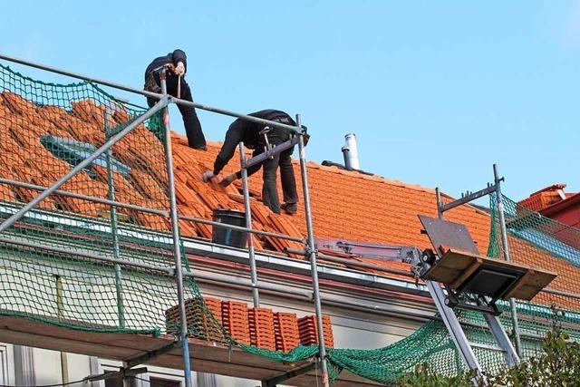 Bauingenieur und Zimmerer in einem Studiengang