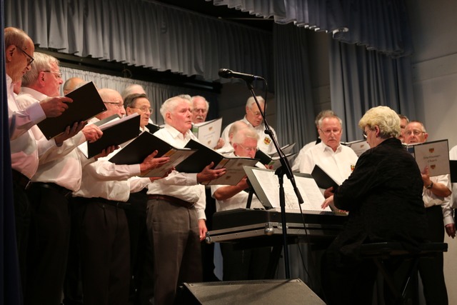 Der Chor aus Stetten bei einem Auftritt im Jahr 2016  | Foto: Katharina Bartsch