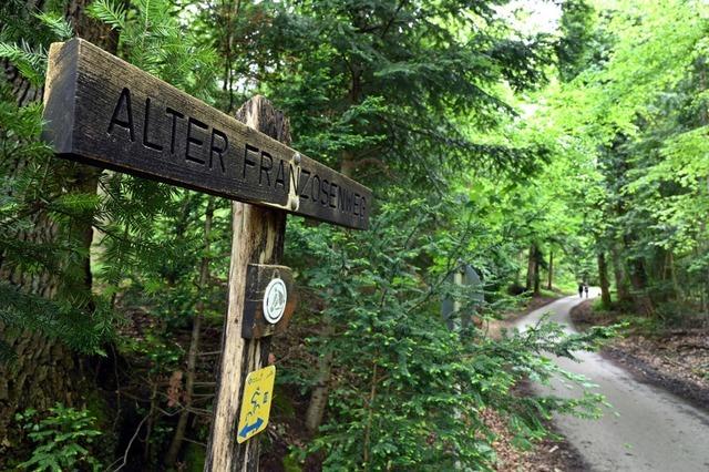 Herdern oder Wiehre? Der Gemeinderat entscheidet ber den Standort eines Ruhewaldes in Freiburg