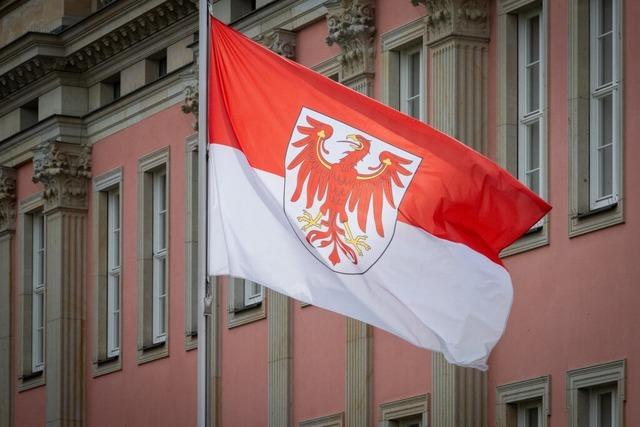 Neue Umfrage vor Landtagswahl in Brandenburg: SPD holt auf - AfD weiter vorn