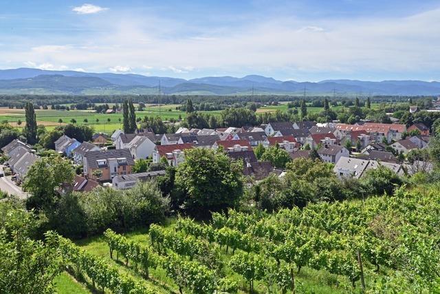 Badenova testet in einem Viertel in Freiburg-Opfingen ein schlaues Stromnetz