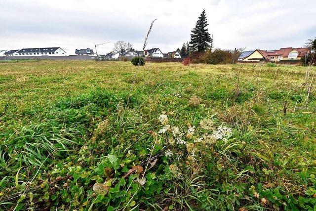 Fr das Neubaugebiet in Freiburg-Tiengen wurden die ersten Bauantrge vertagt