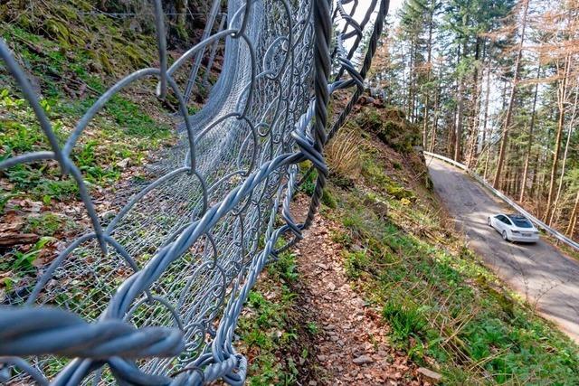 Regierungsprsidium reagiert auf Waldkircher Kritik und informiert Rte ber Sanierung