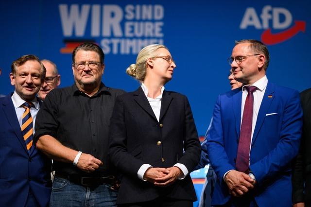 AfD-Parteitag wird zur groen Harmonie-Show