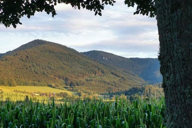 Erdbeben-Messungen am Kandel dauern lnger als geplant - weil Personal fehlt