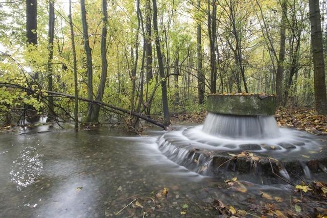 Ist die Basler Trinkwasseraufbereitung schuld an einer Mckenplage in Lrrach-Stetten?