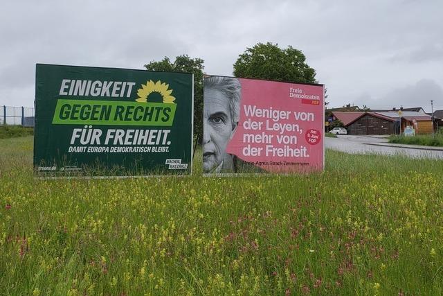 Der Parteien-Check: Wer will was bei der Europa-Wahl?