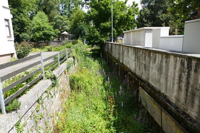 Kann knftig wieder Wasser im Schopfheimer Wuhr flieen? Das wird ein Gutachten aufzeigen