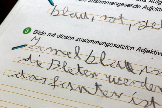 Vorsitzende des Lehrerverbandes: "Wir brauchen wieder Diktate"