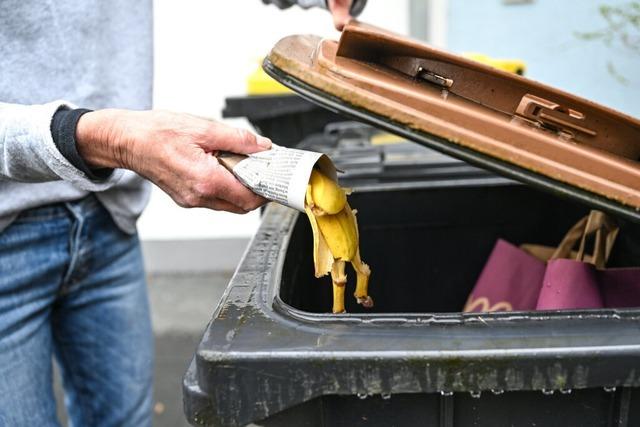 Energie aus der Banane - Baden-Wrttemberg will mehr in Biogasanlagen investieren