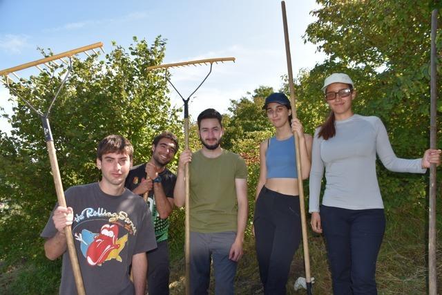 Junge Freiwillige in Vogtsburg-Schelingen schwrmen von ihren Erlebnissen im Kaiserstuhl