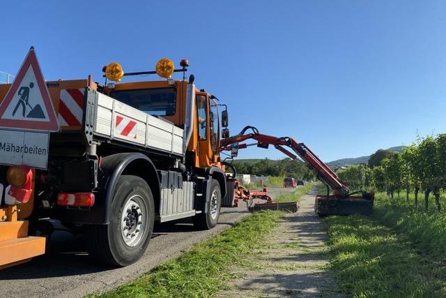 Gemeinntzige Arbeit fr Asylbewerber? Thringer Modell sorgt fr Diskussionen in Baden-Wrttemberg