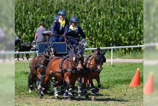 Spektakulr: Die besten Gespannfahrer starten bei der Landesmeisterschaft in Ichenheim