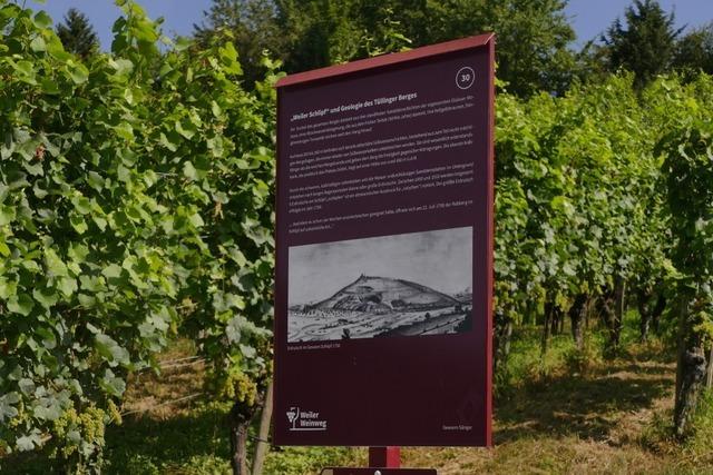 Das 20-jhrige Bestehen des Weinwegs in Weil am Rhein wird im Oktober gefeiert