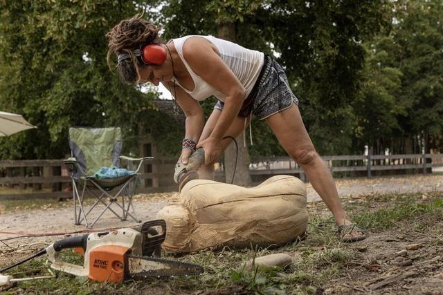 Bei "Kunst im Gehege" auf dem Freiburger Mundenhof entsteht gerade tglich Kunst