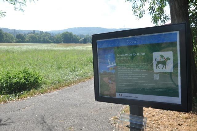 84 Prozent der Hundehalter halten sich an Leinenpflicht im Schweizer Teil des Landschaftsparks Wiese