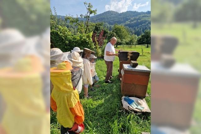 Zu Besuch bei den Bienenvlkern von Simonswald