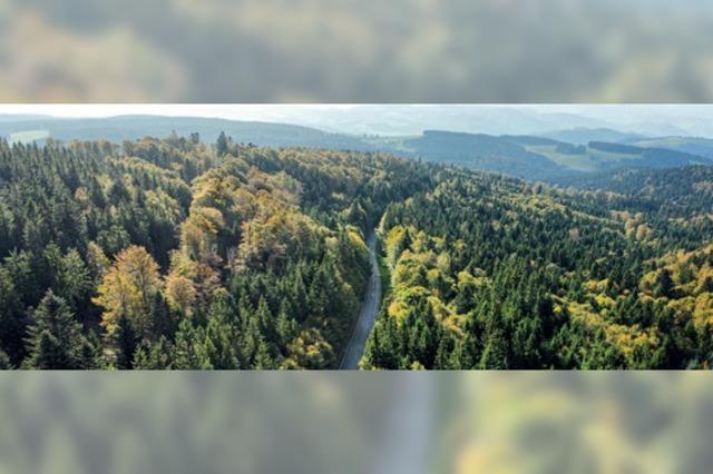 Ursula Schmidt und Manfred Botz stellen in einem Buch Natur und Leute an der Panoramastrae von Waldkirch zum Feldberg vor