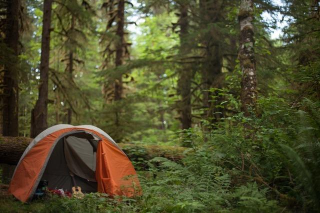 Microcamping trifft in Malsburg-Marzell auf Brokratie