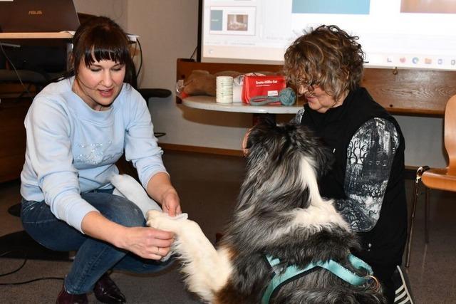 Erste-Hilfe-Kurs fr Hunde in Rheinfelden: Damit es Htehund Spike schnell wieder gut geht