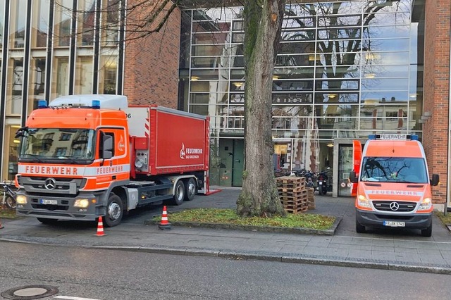 Mit Hilfe der Bad Krozinger Feuerwehr ...amt nach Bad Krozingen transportiert.   | Foto: Stadt Bad Krozingen